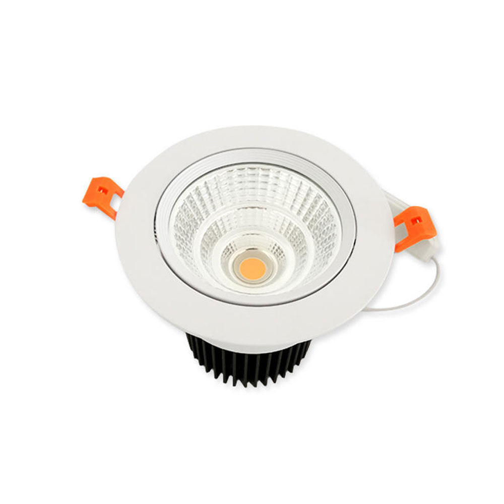 Popular Angle Adjustable COB 22W LED Ceiling Light, LED Downlight  AC100-240V