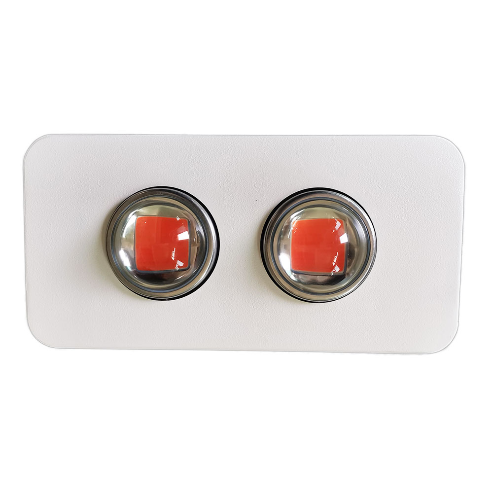 Diamond 100W High Quality DOB LED Grow Light, Suitable for Vegetables and Fruit Lighting Supplement