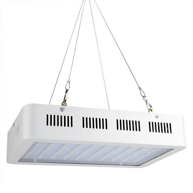 1000W Full Spectrum LED Grow Lights for Greenhouse Hydroponic Indoor Plants, Seed Starting, Vegetable and Bloom Growth Flowering