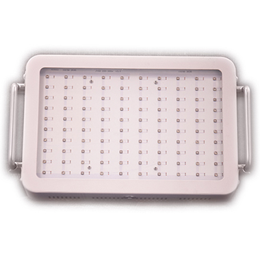 1000W LED UV Light for curing
