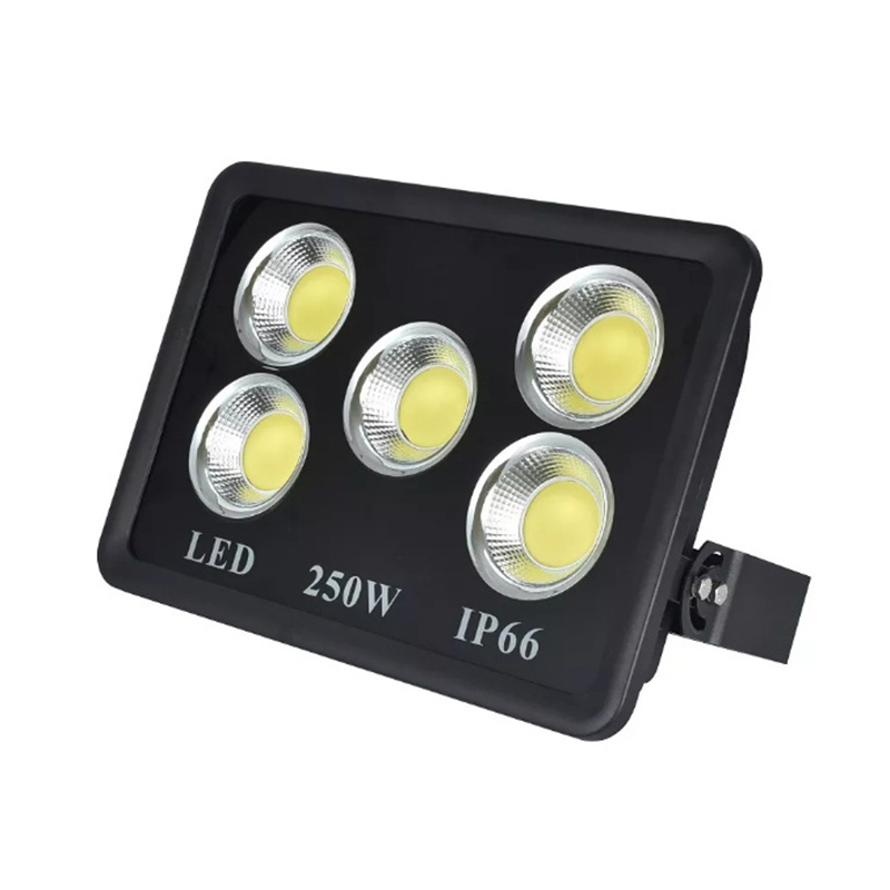 250W-1.jpg