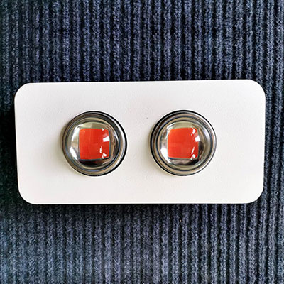 100W-LED-Grow-Light.jpg