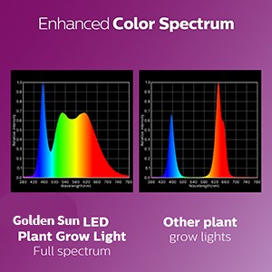 7cfd6ceb-9141-454d-96a1-b0d805c579a1._CR0,0,300,300_PT0_SX300__.jpg